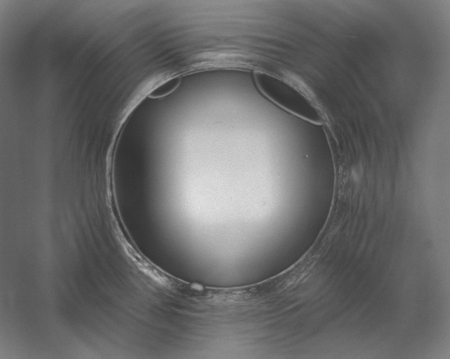 X0000056361386200509091611