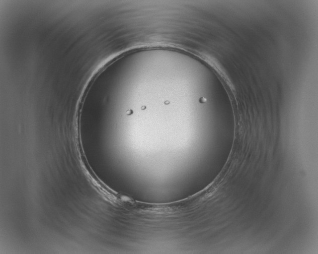 X0000056361388200509091611