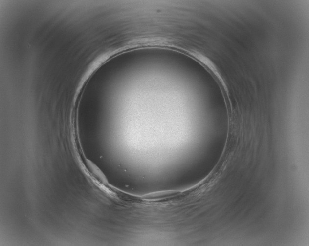 X0000056361389200509091611