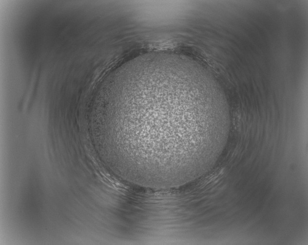 X0000056361393200509091610