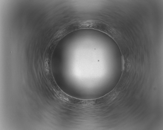 X0000056361394200509091610