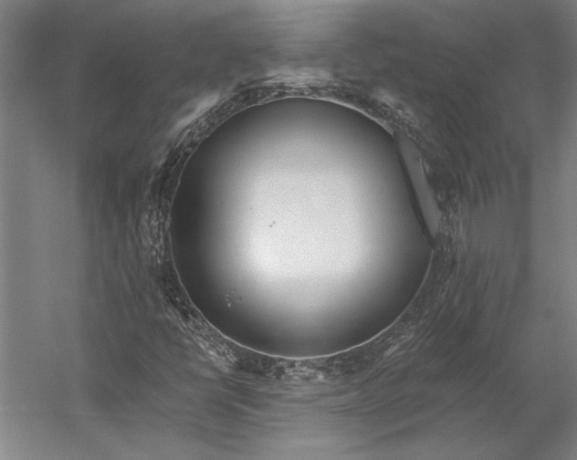 X0000056361398200509091610