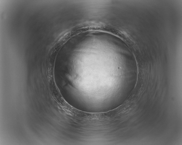 X0000056361399200509091610