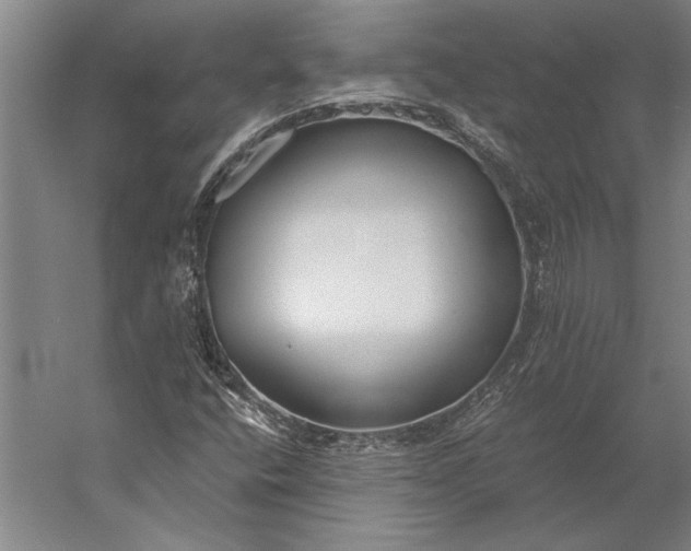 X0000056361400200509091610