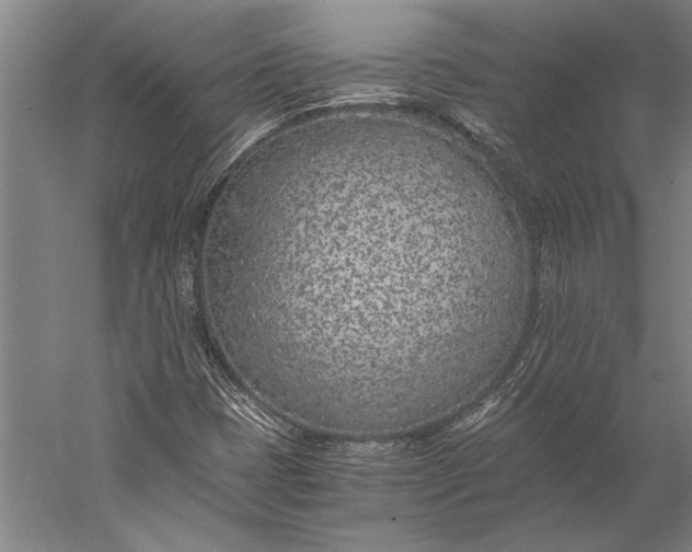 X0000056361401200509091610