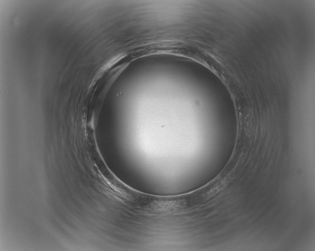 X0000056361402200509091610