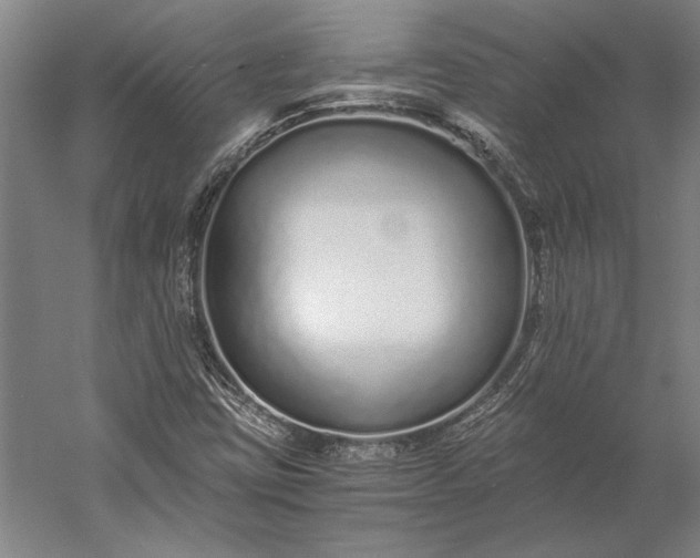 X0000056361403200509091610