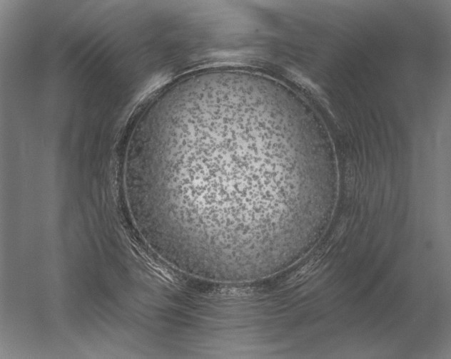 X0000056361411200509091610