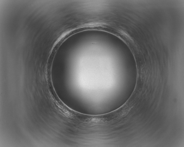 X0000056361412200509091610