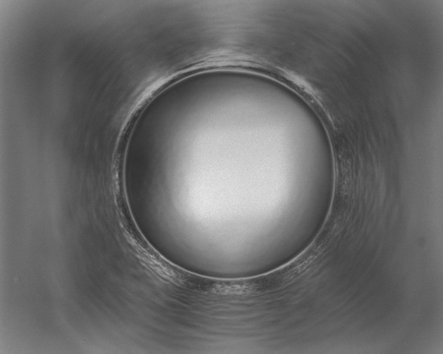 X0000056361415200509091610