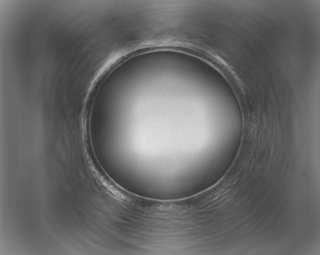 X0000056361416200509091610