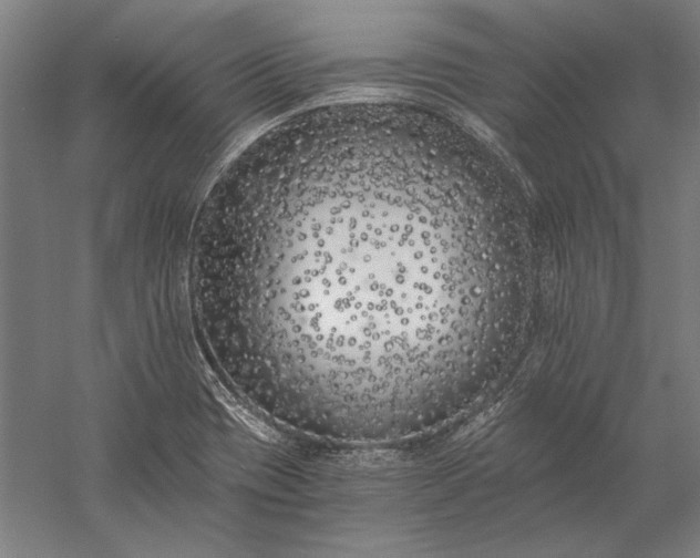 X0000056361417200509091610