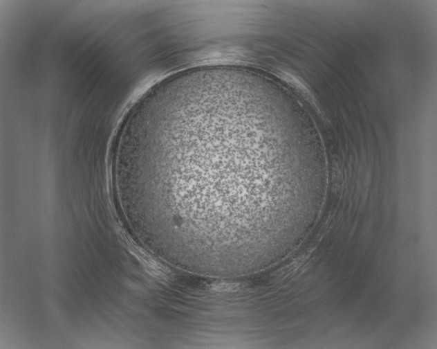 X0000056361419200509091611