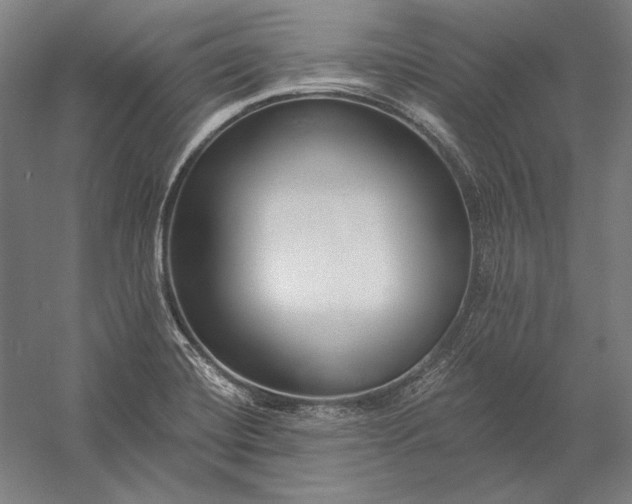 X0000056361420200509091611