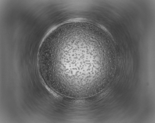 X0000056361421200509091611