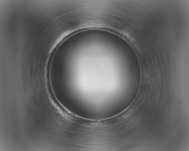 X0000056361422200509091611