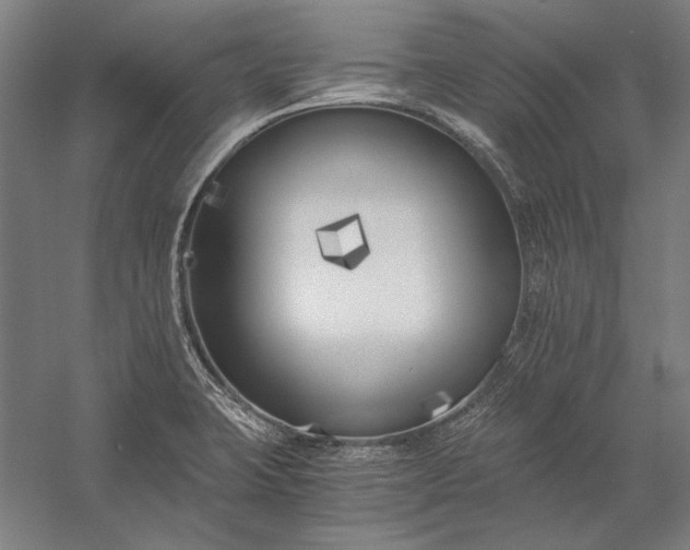 X0000056361423200509091611