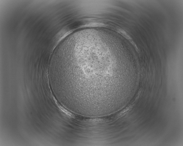 X0000056361425200509091611