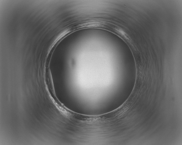 X0000056361426200509091611