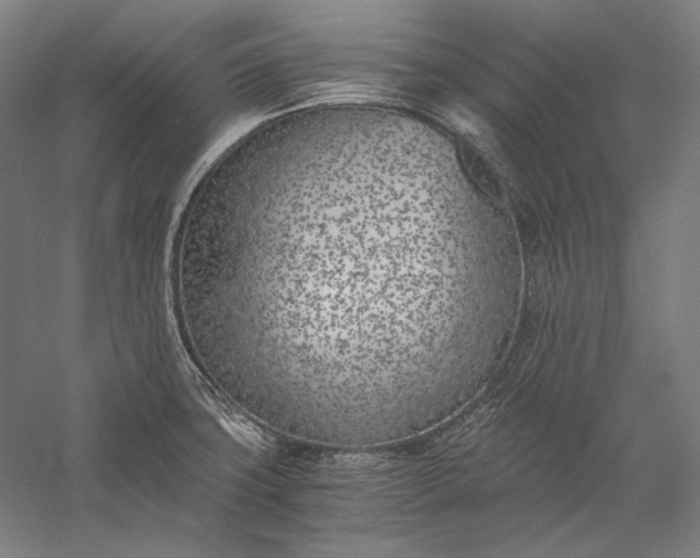 X0000056361427200509091611