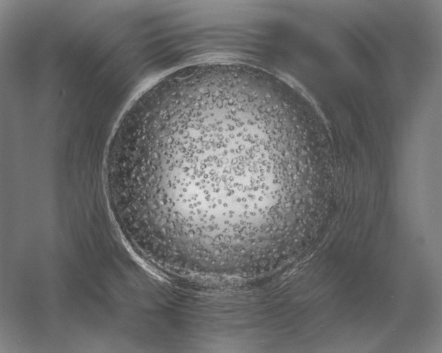 X0000056361429200509091611