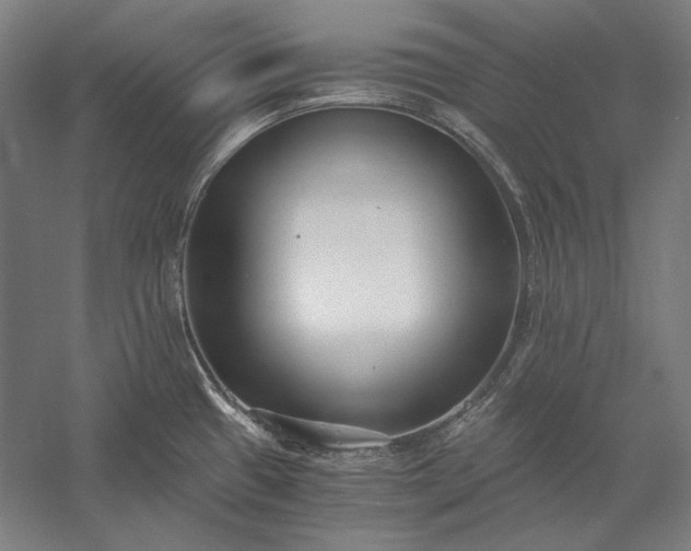 X0000056361433200509091611