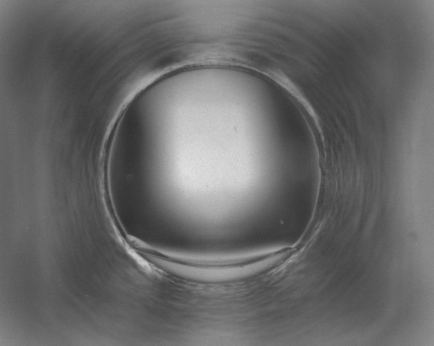 X0000056361437200509091611