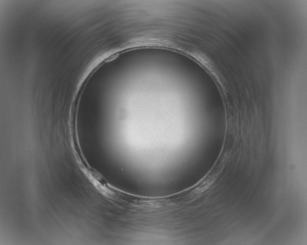 X0000056361438200509091611