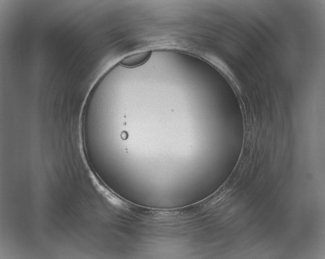 X0000056361439200509091611