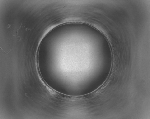 X0000056361440200509091611