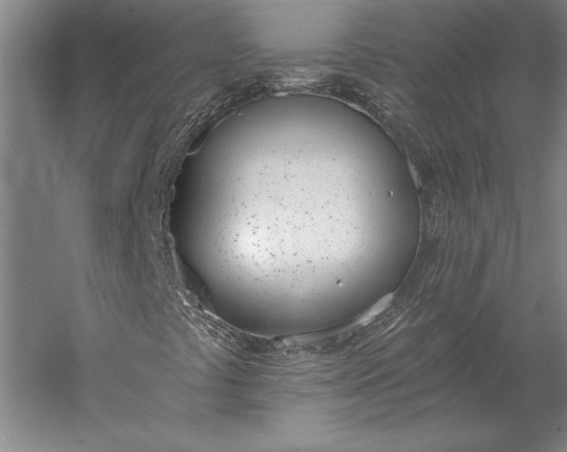 X0000056361441200509091610