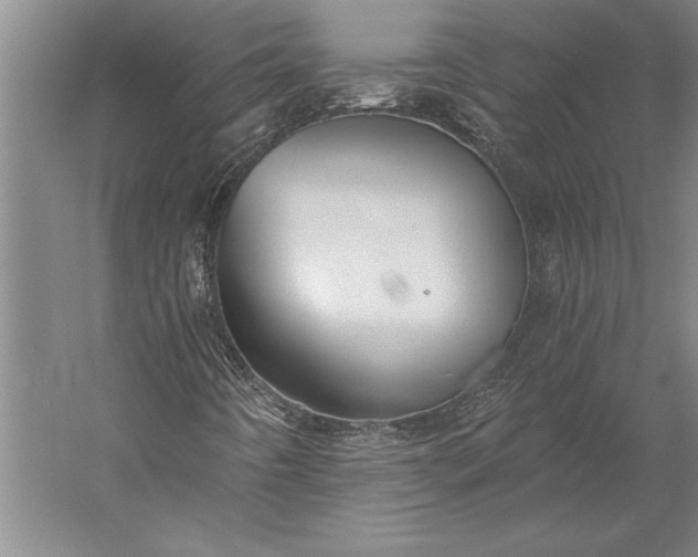 X0000056361442200509091610