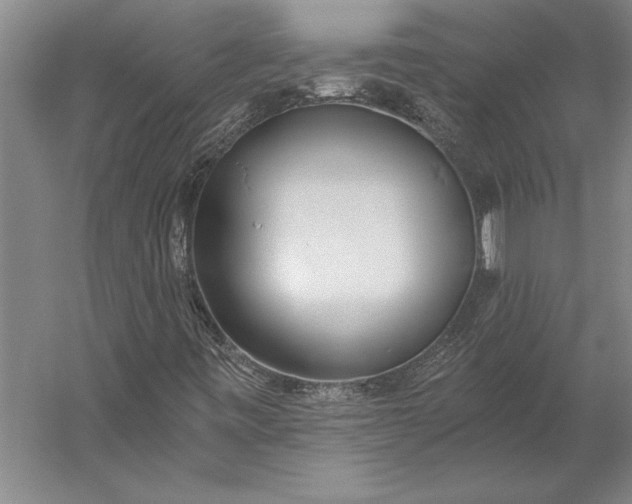 X0000056361443200509091610