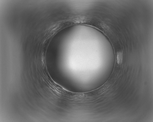 X0000056361444200509091610