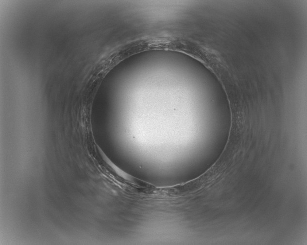 X0000056361445200509091610