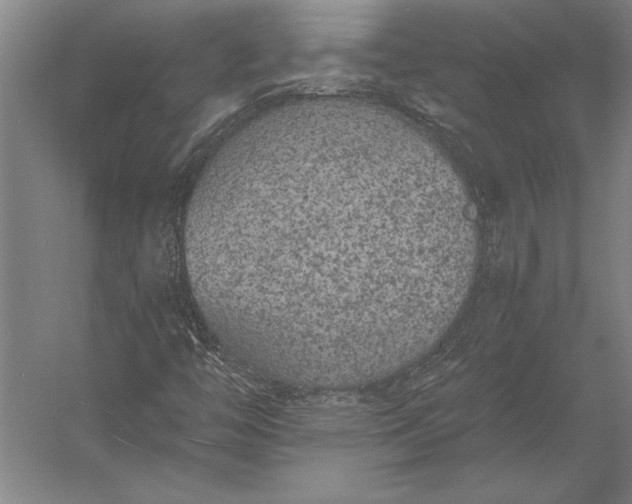 X0000056361446200509091610