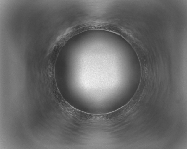 X0000056361447200509091610