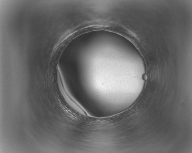 X0000056361448200509091610