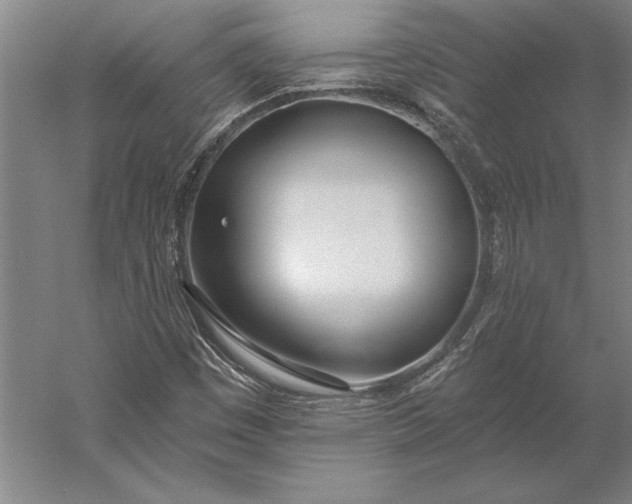 X0000056361449200509091610