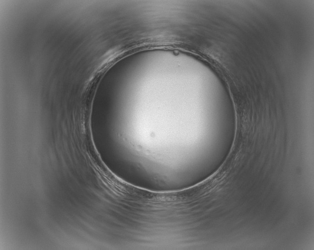 X0000056361451200509091610