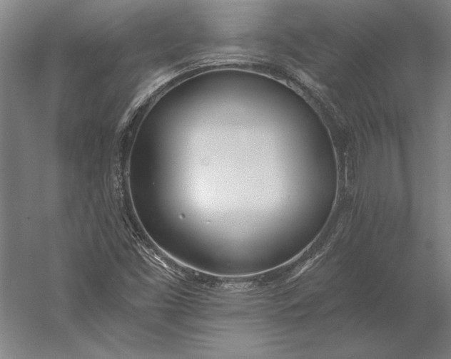 X0000056361453200509091610