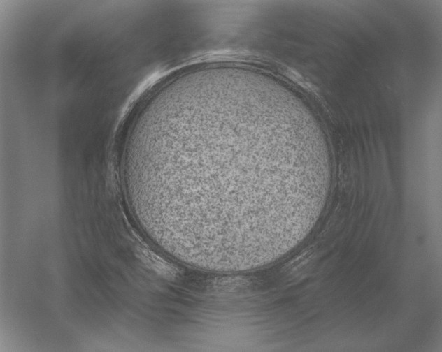 X0000056361454200509091610