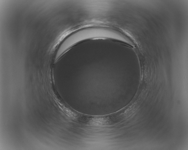 X0000056361455200509091610