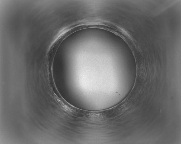 X0000056361456200509091610