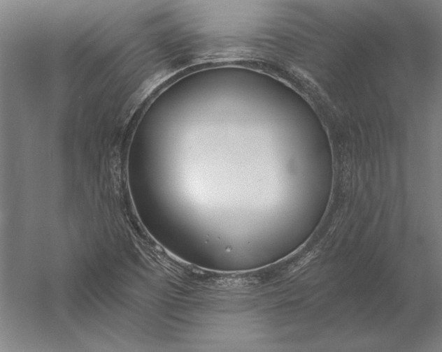 X0000056361457200509091610