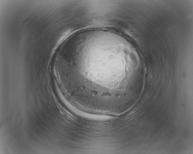 X0000056361459200509091610