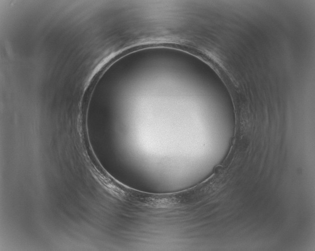 X0000056361460200509091610