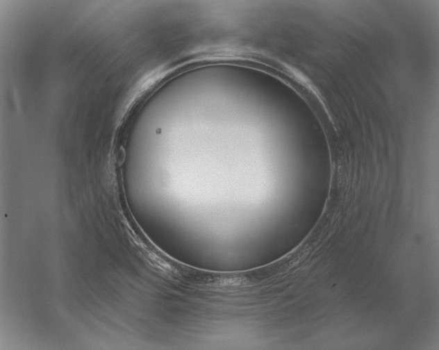 X0000056361464200509091610