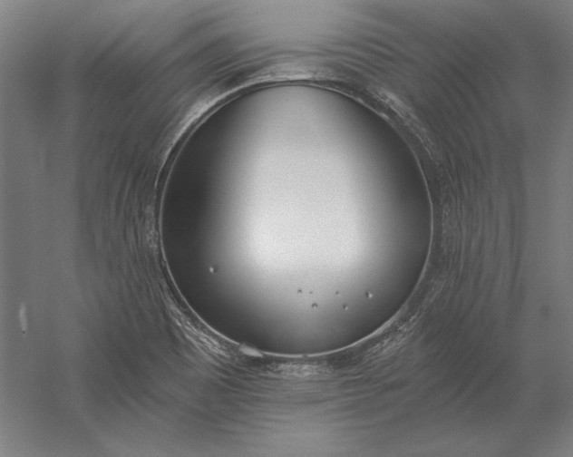 X0000056361465200509091610