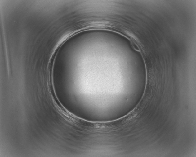 X0000056361467200509091610